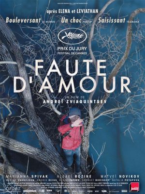 Affiche du film Faute d’amour