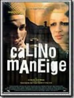 Affiche du film Calino Maneige