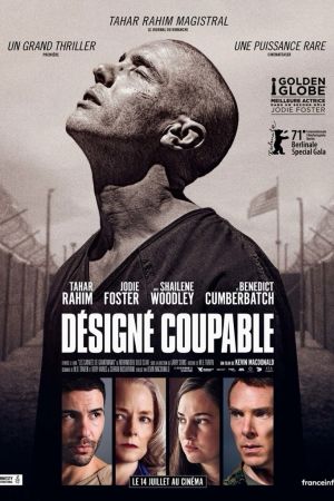 Affiche du film Désigné Coupable
