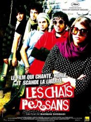 Les chats persans