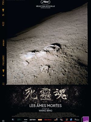 Affiche du film Les Âmes mortes - Partie 1, 2 et 3