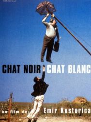 Chat noir, chat blanc