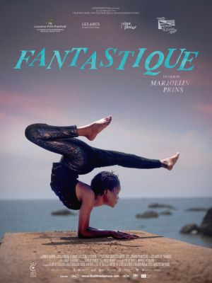 Affiche du film Fantastique