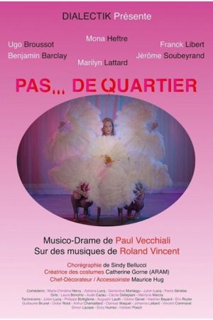 Affiche du film Pas... de quartier