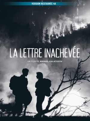 Affiche du film La Lettre inachevée