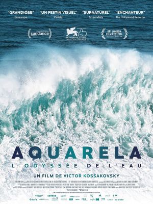 Affiche du film Aquarela - L'Odyssée de l'eau