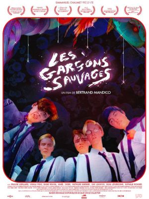 Affiche du film Les Garçons sauvages