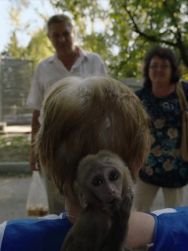 Les Testicules de Tarzan