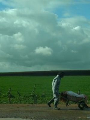 Affiche du film Jahilya