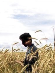 L’autonomie paysanne