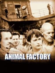 Animal factory
