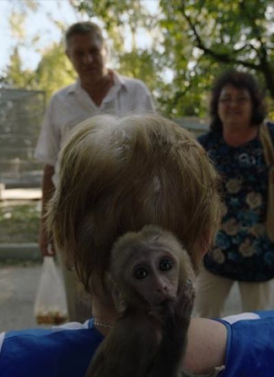 Les Testicules de Tarzan