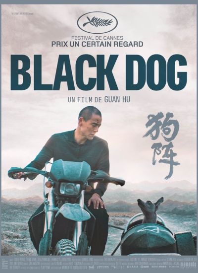 Black Dog